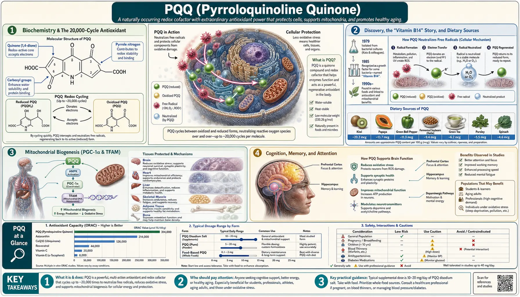 PQQ — scientific infographic poster
