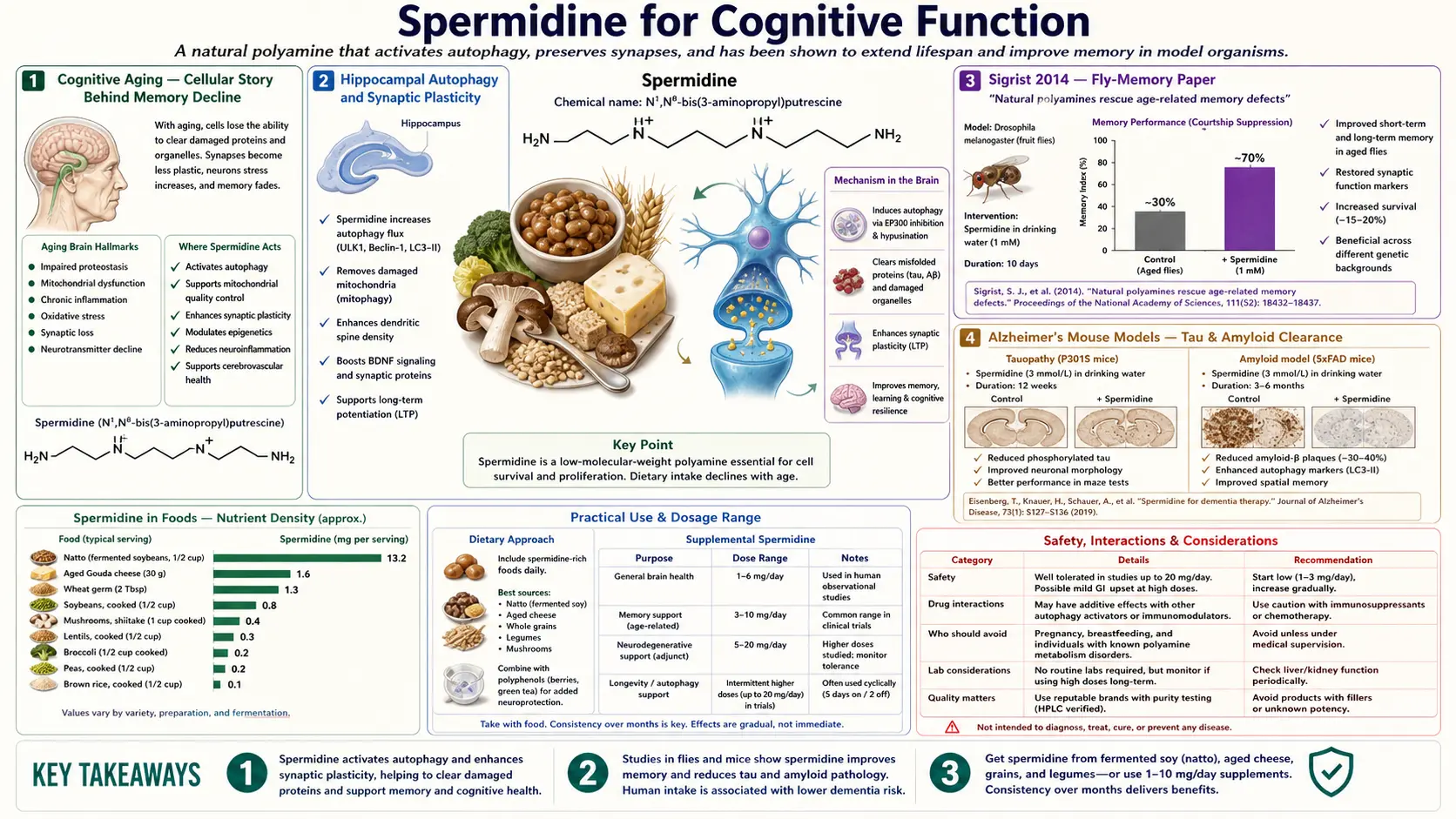 Cognitive Function — scientific infographic poster