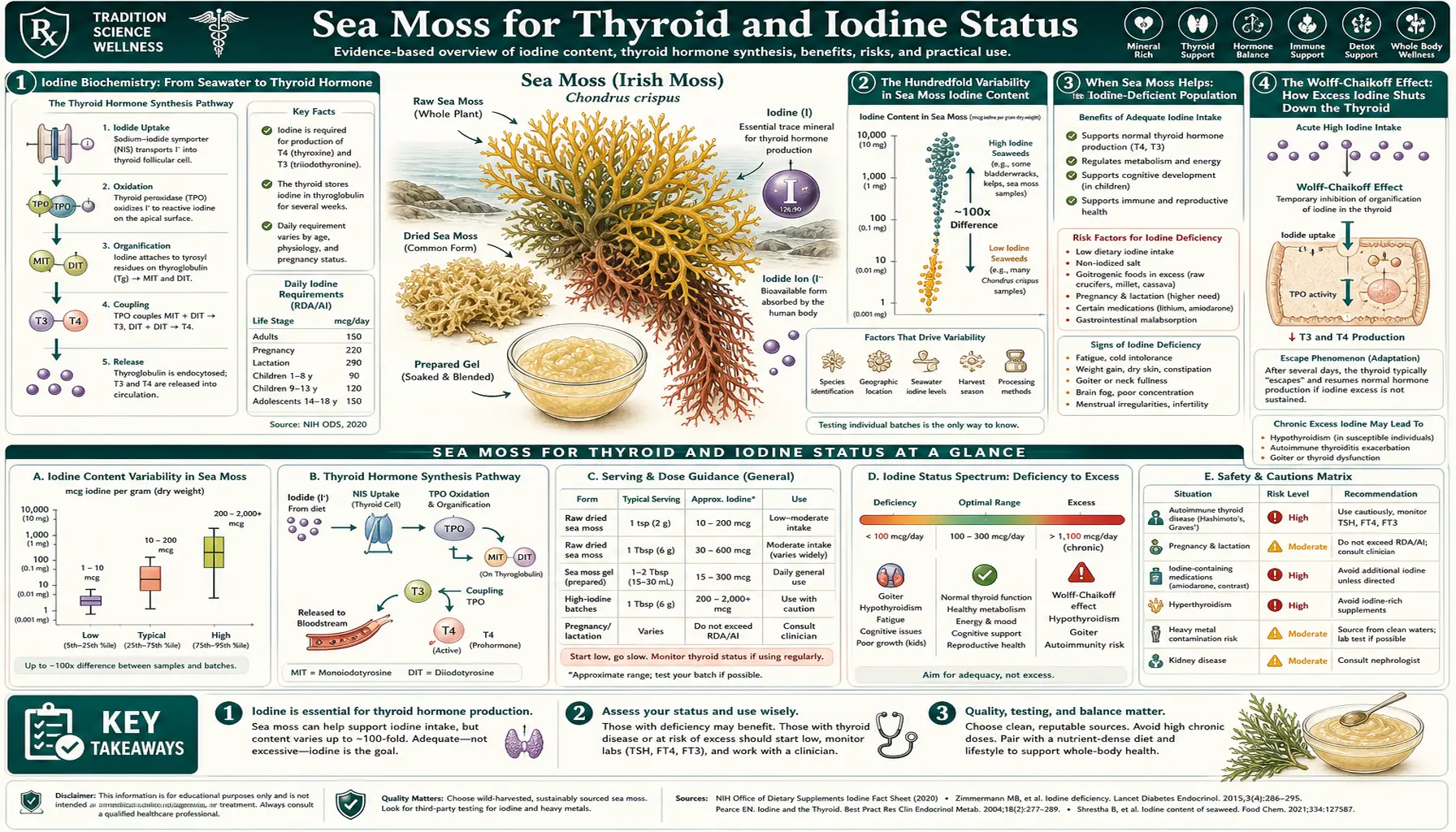 Thyroid and Iodine — scientific infographic poster