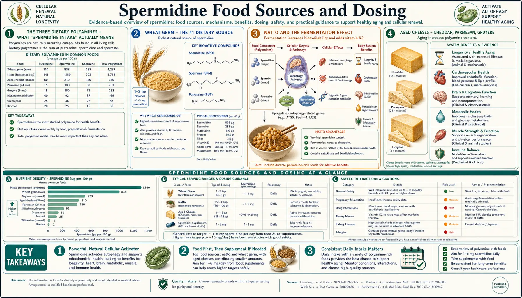 Food Sources and Dosing — scientific infographic poster