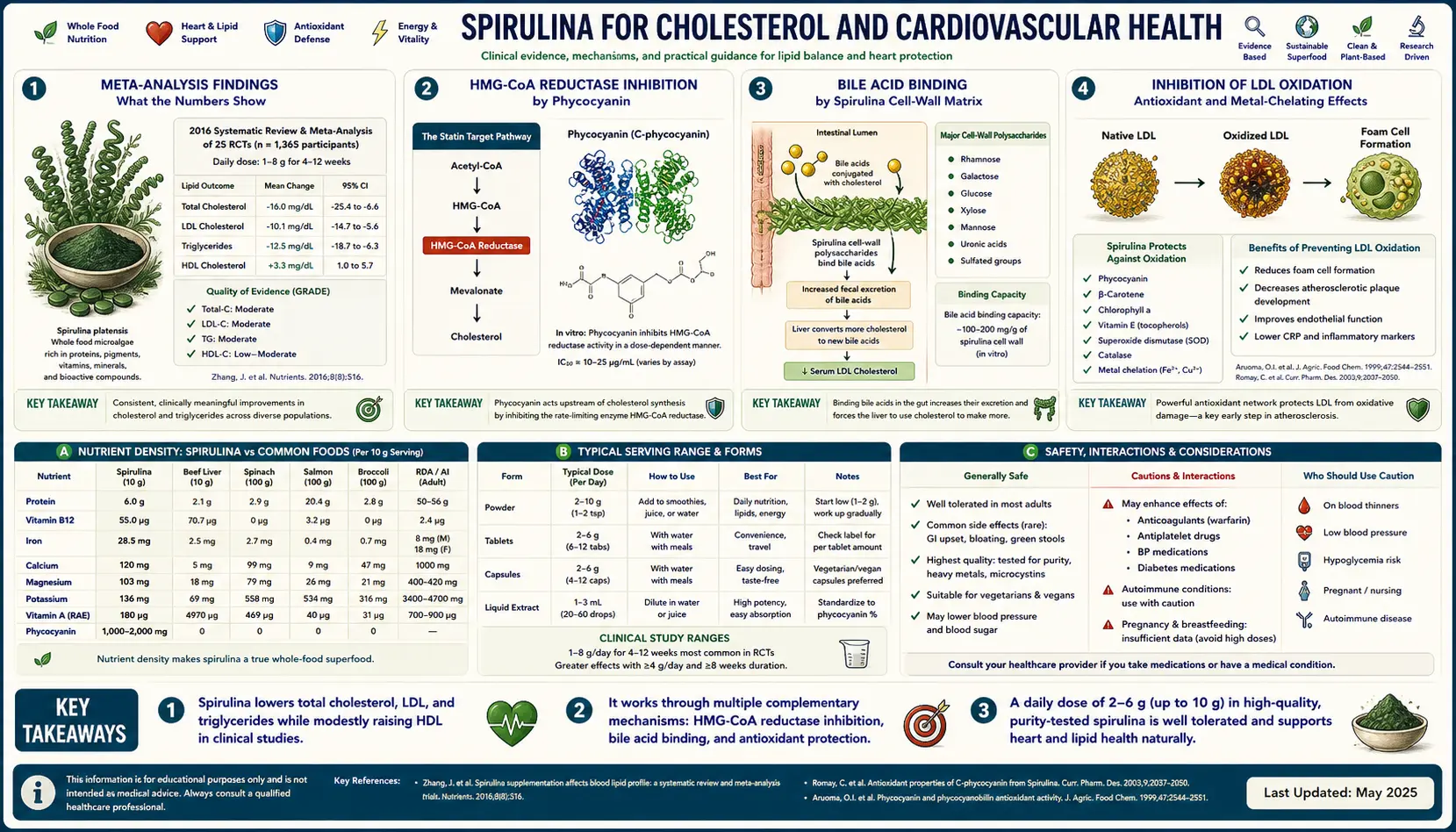 Cholesterol and Cardiovascular — scientific infographic poster