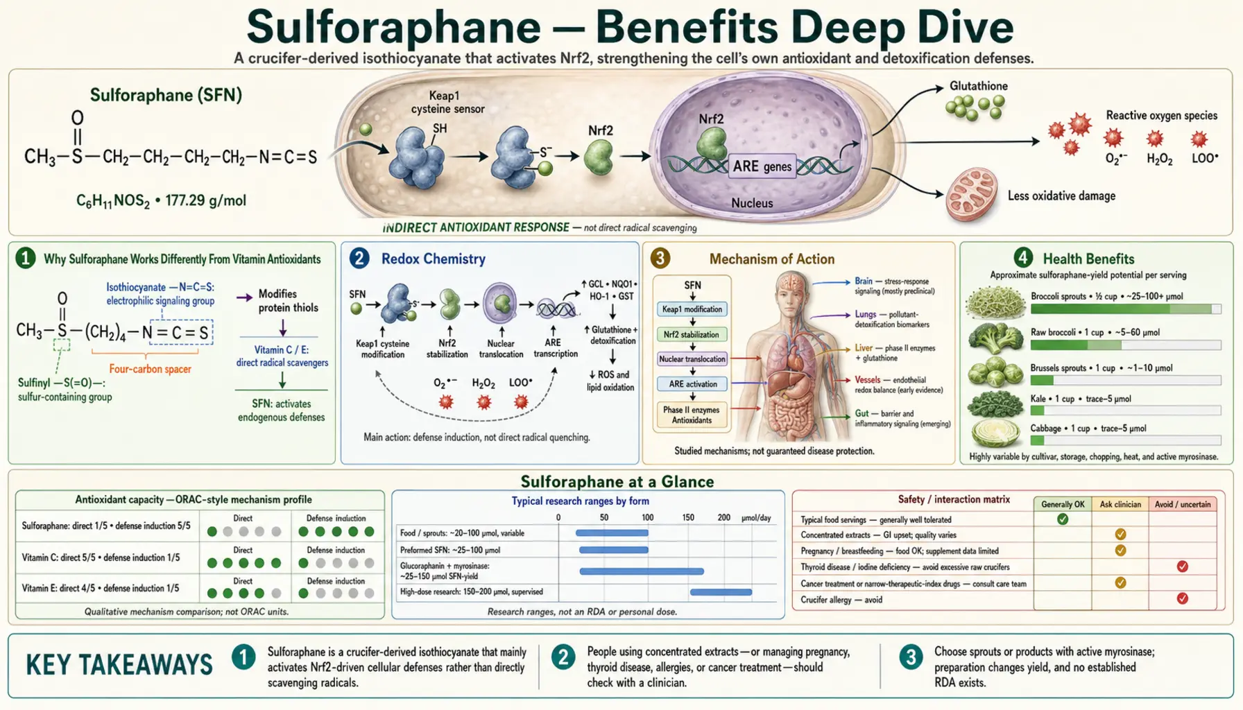 Benefits — scientific infographic poster