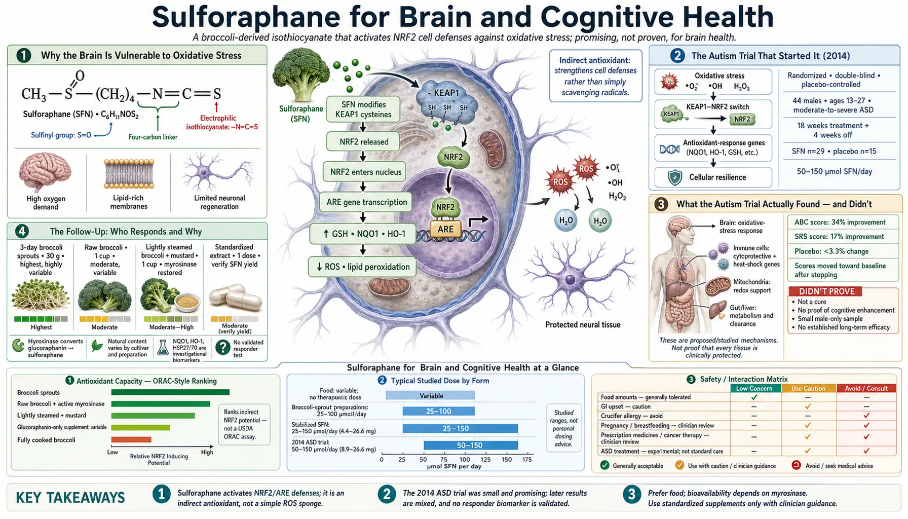 Brain and Cognitive Health — scientific infographic poster