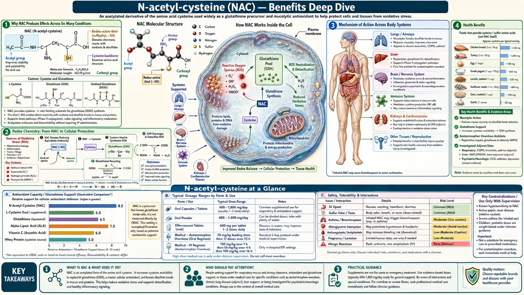 Benefits — scientific infographic poster