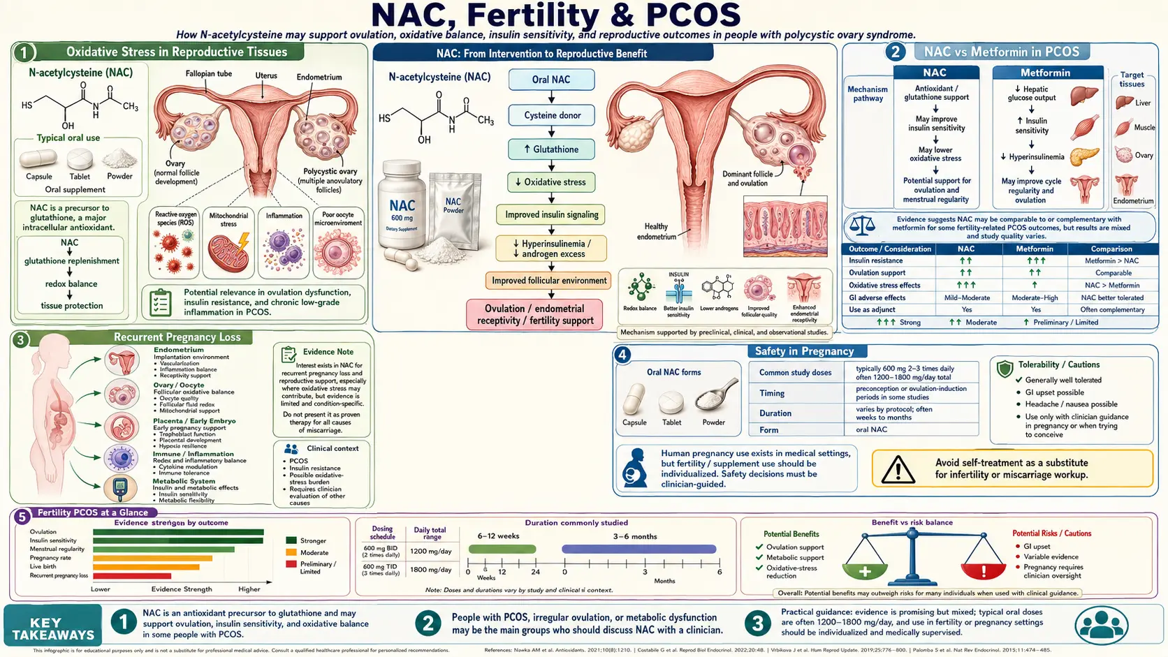 Fertility PCOS — scientific infographic poster