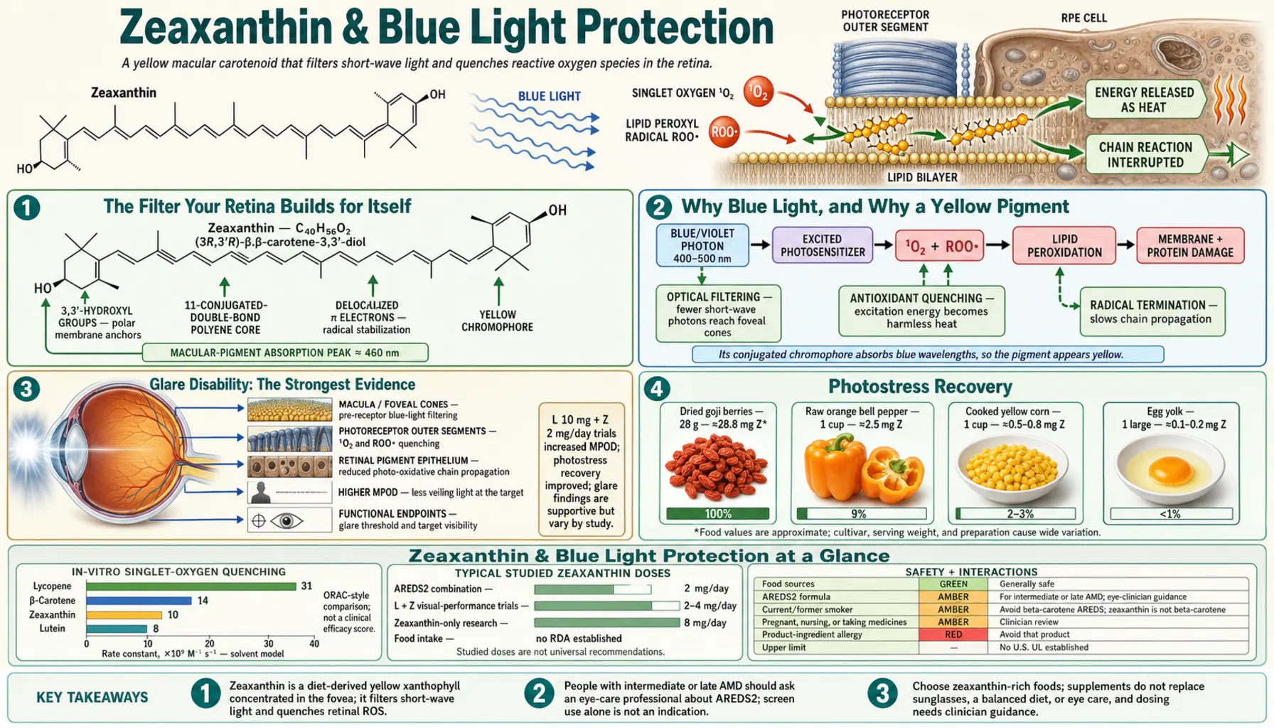 Blue Light Protection — scientific infographic poster