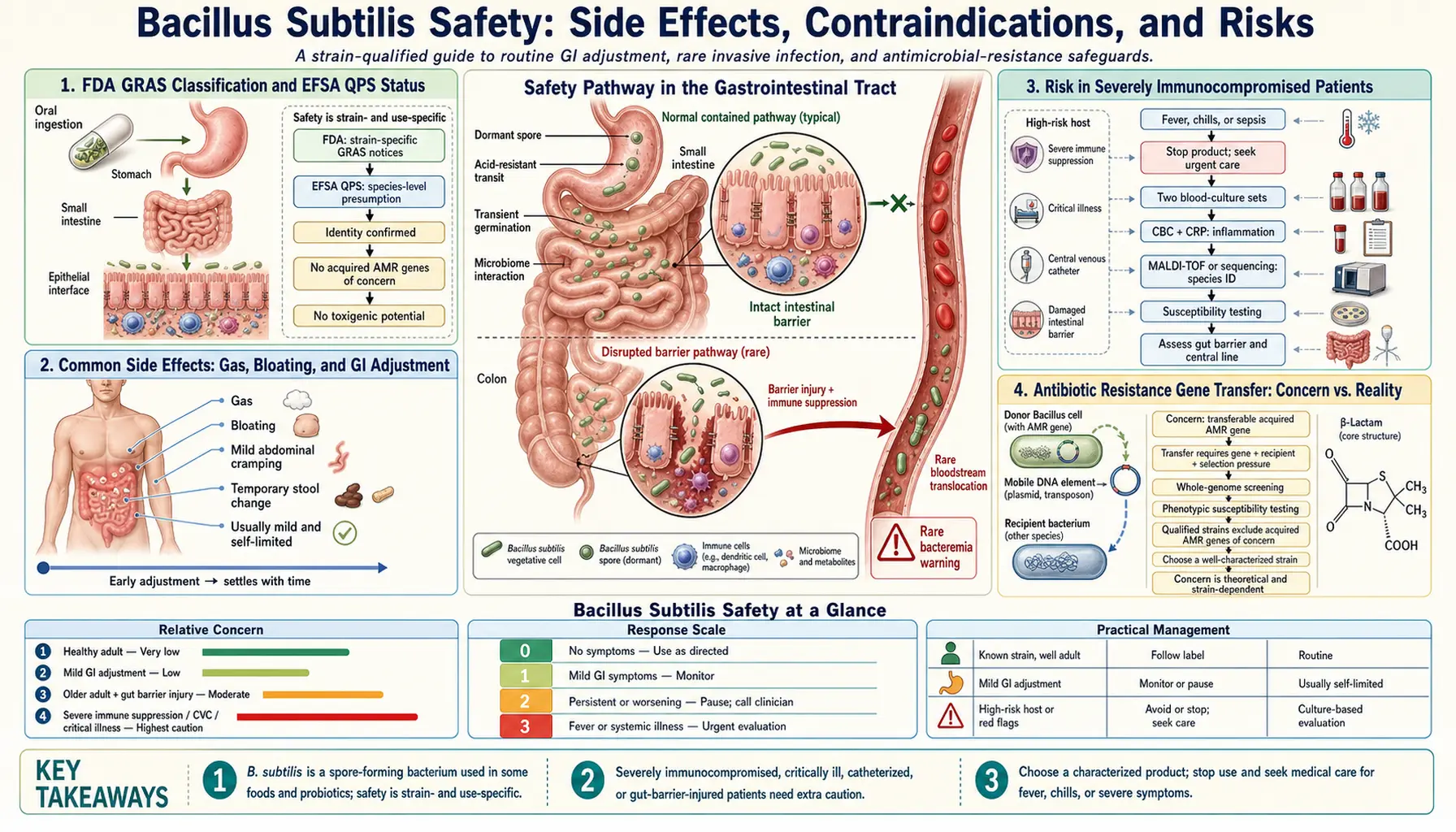 Safety and Side Effects — scientific infographic poster