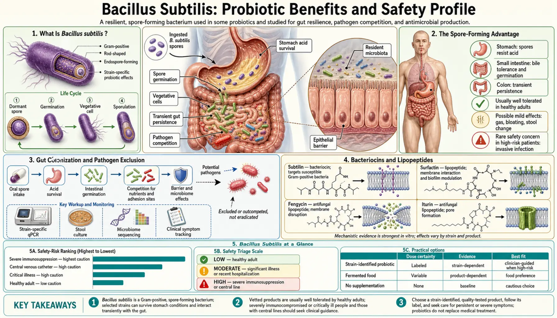 Symptoms — scientific infographic poster