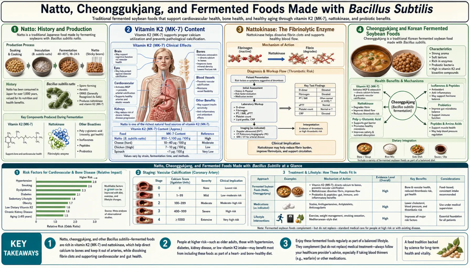 Fermented Foods Natto — scientific infographic poster