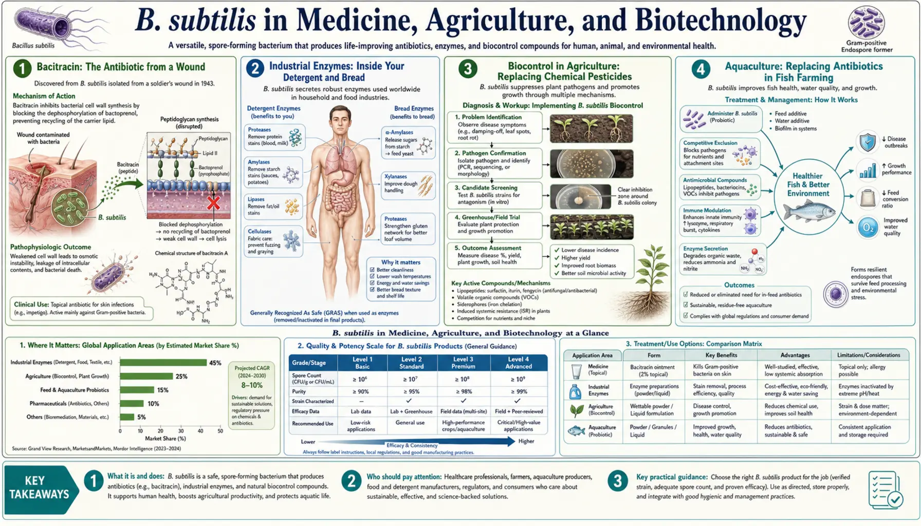 Medical and Agricultural Uses — scientific infographic poster