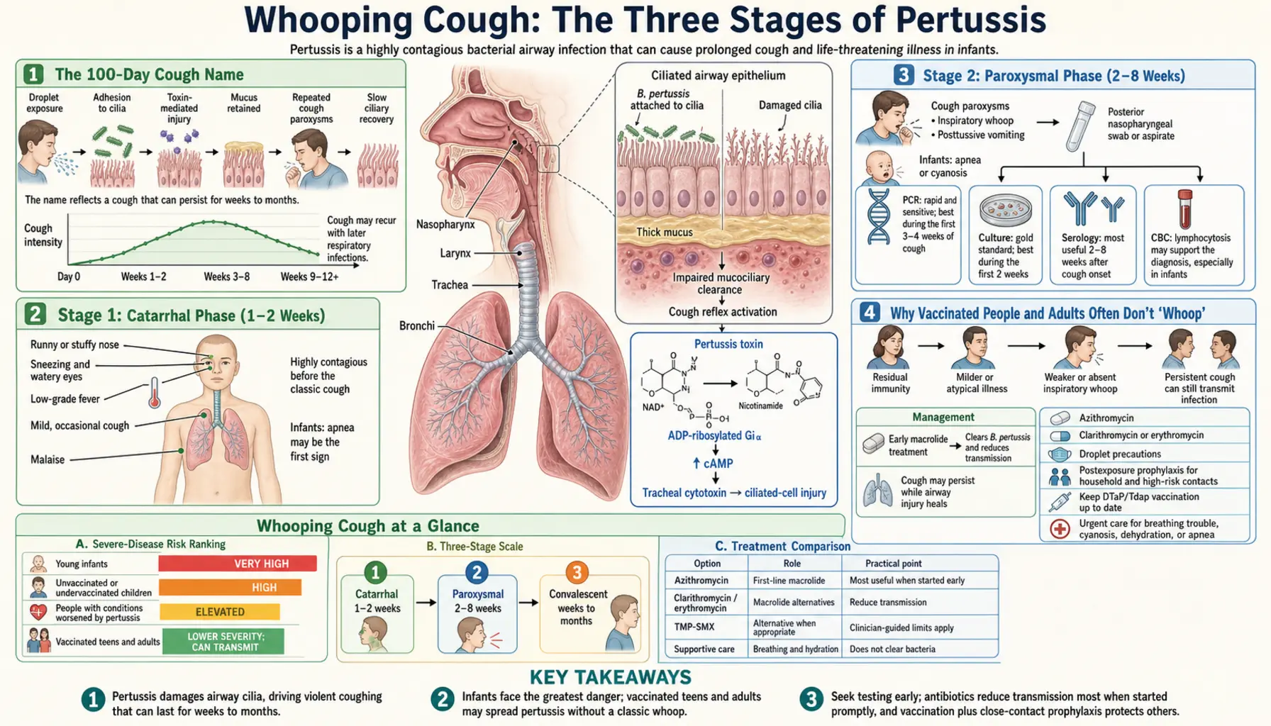Three Stage Illness — scientific infographic poster