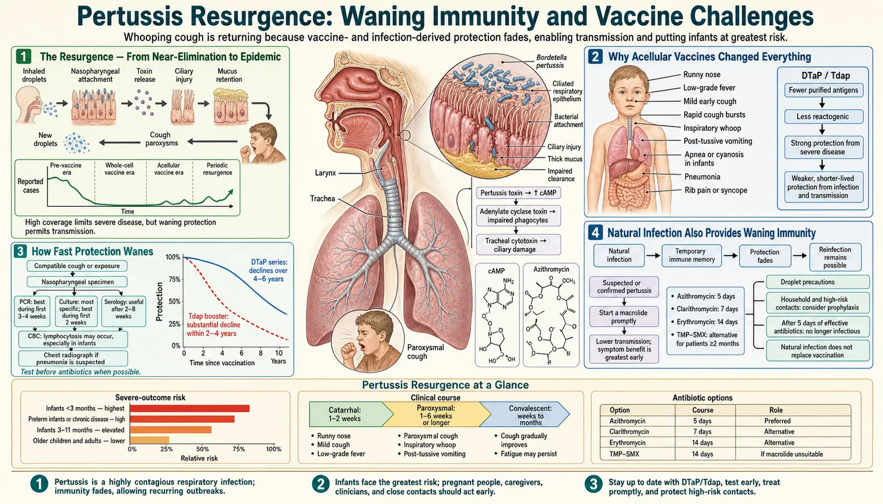 Waning Immunity and Resistance — scientific infographic poster