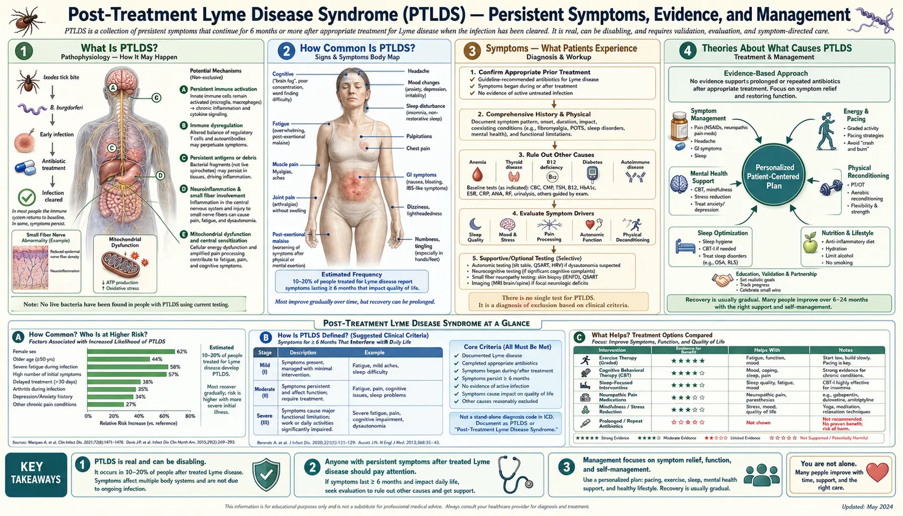 Post Treatment Lyme Disease Syndrome — scientific infographic poster