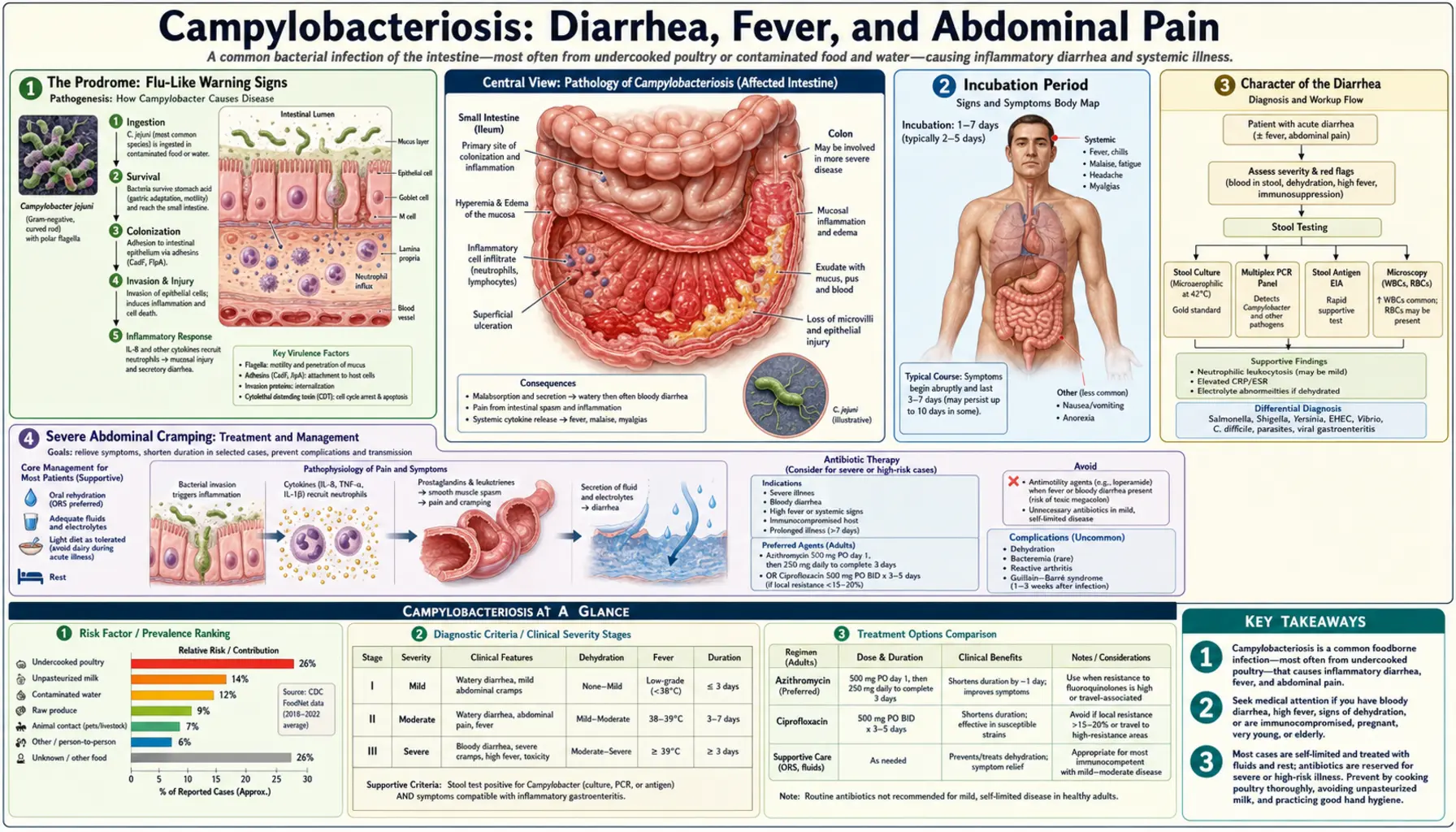 Diarrhea and gastrointestinal Symptoms — scientific infographic poster