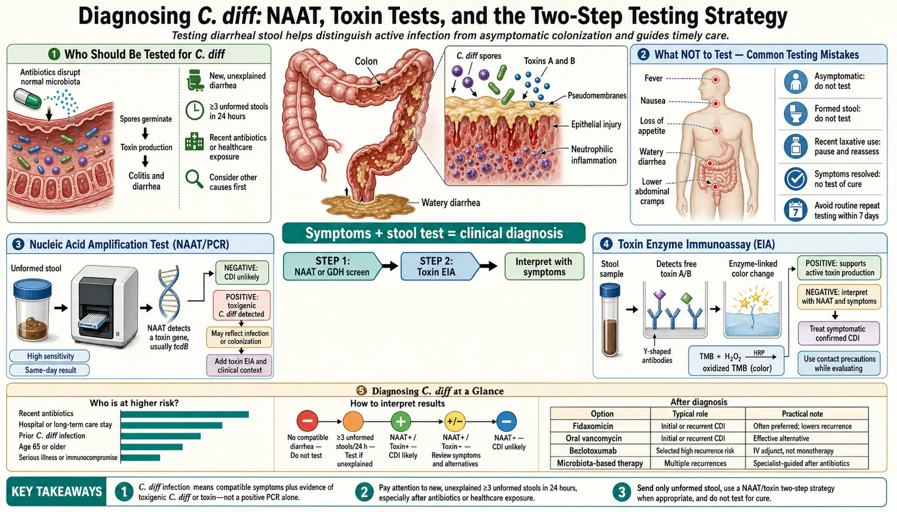 Diagnosis Stool Tests — scientific infographic poster