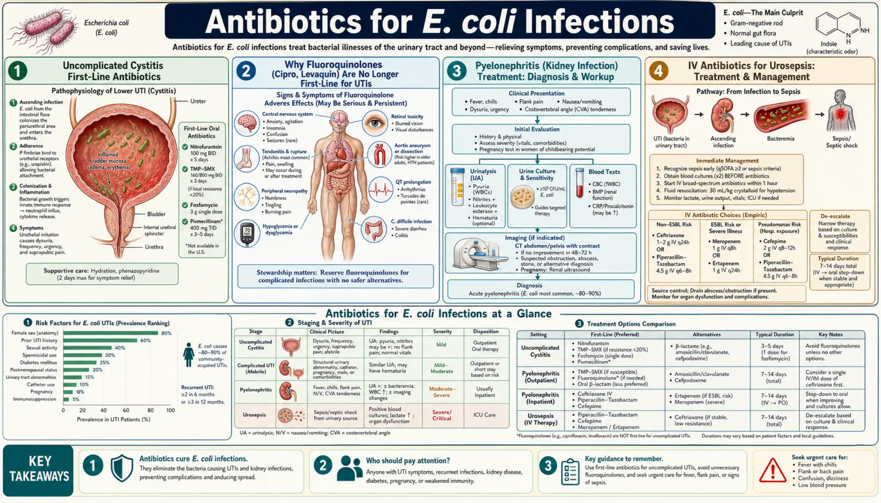 Antibiotic Treatment — scientific infographic poster
