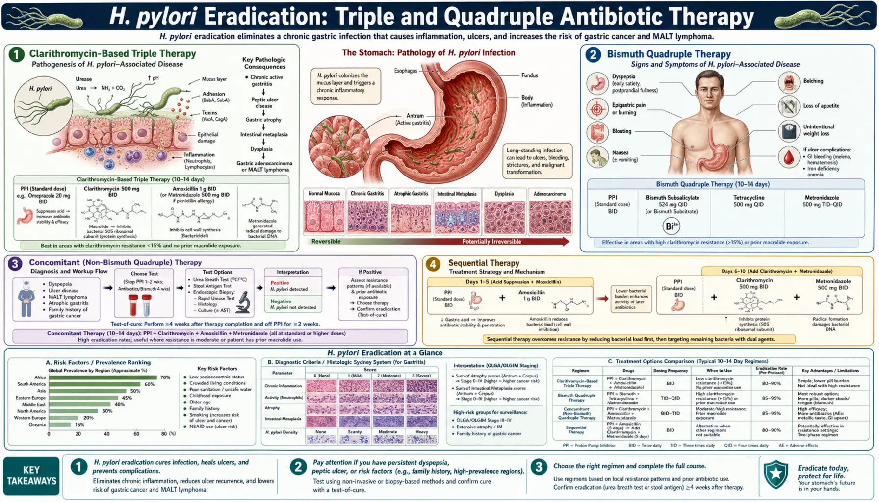 Triple and Quadruple Therapy — scientific infographic poster