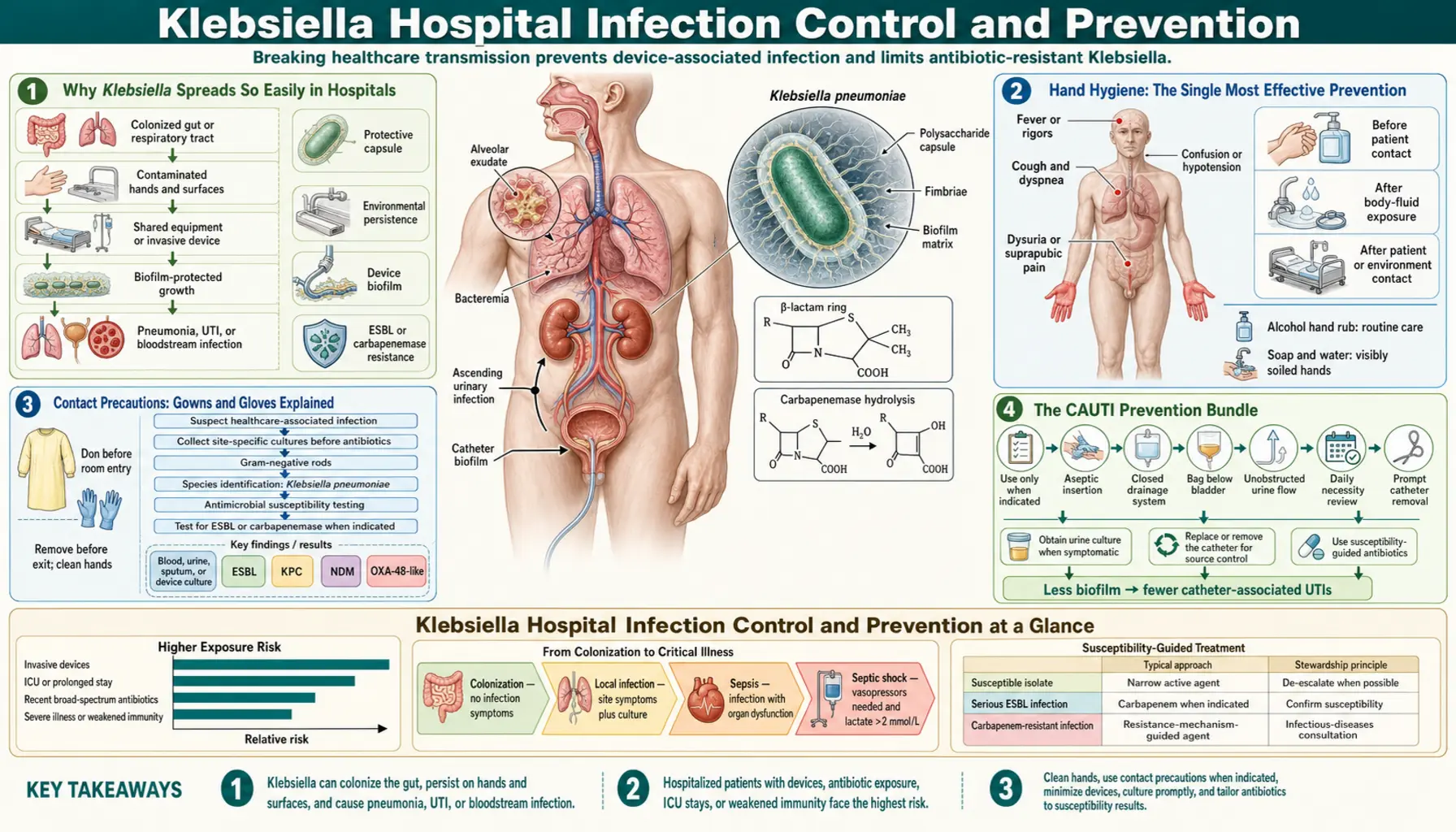 Hospital Infection Control and Prevention — scientific infographic poster