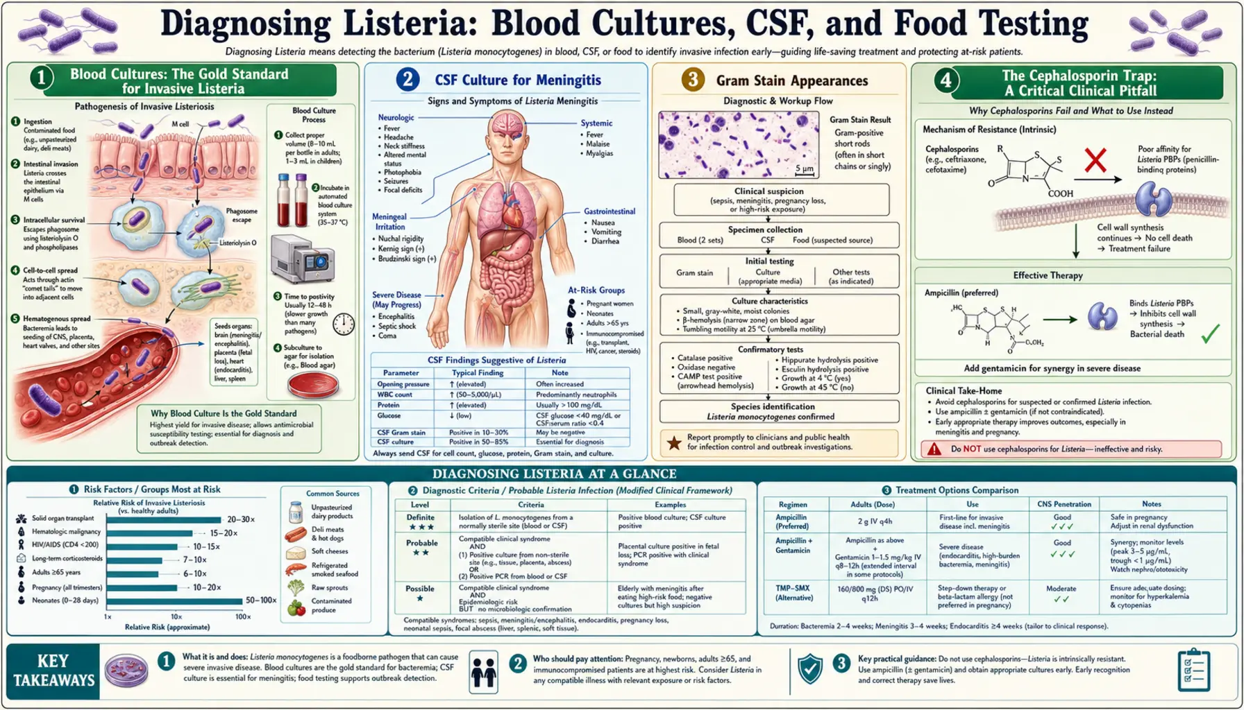 Diagnosis Blood CSF and Testing — scientific infographic poster