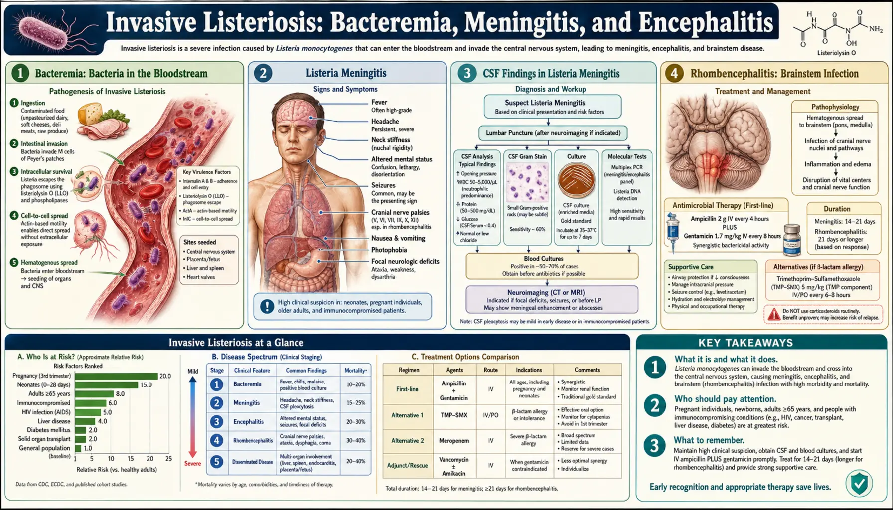 Invasive Listeriosis and Meningitis — scientific infographic poster