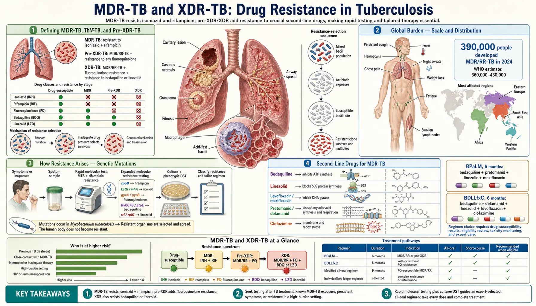 Multidrug Resistant tuberculosis — scientific infographic poster