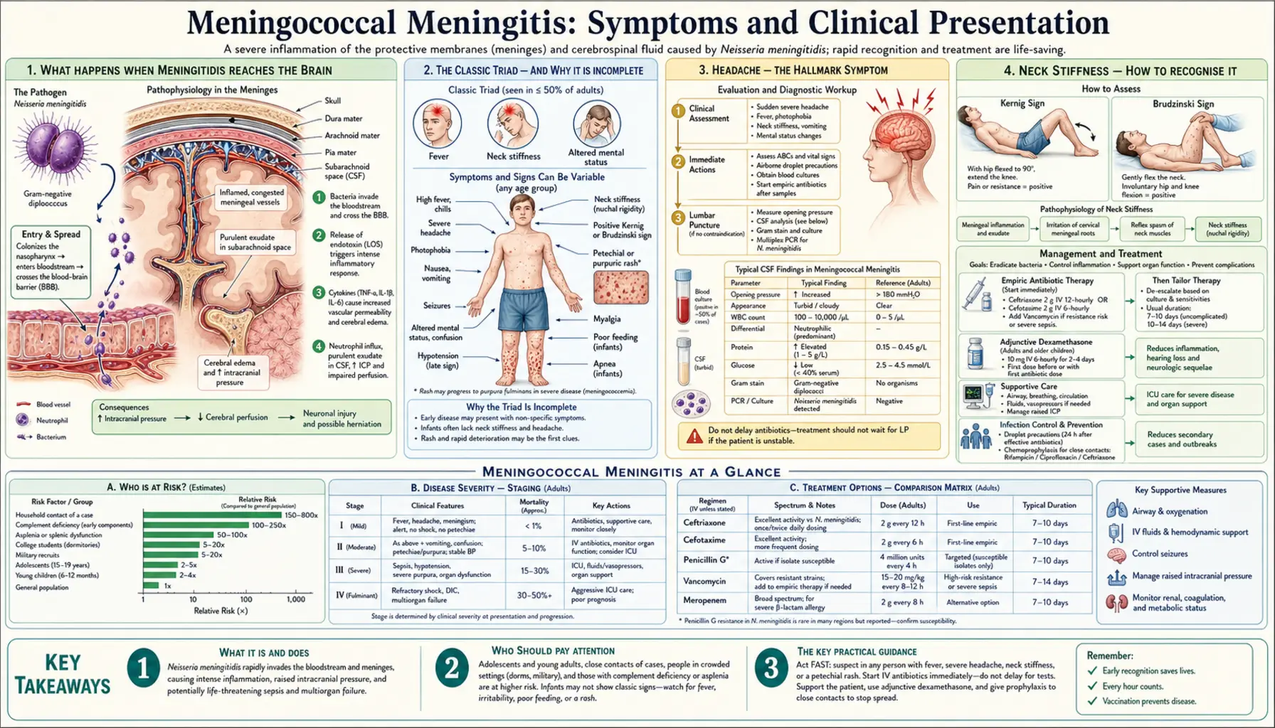 Bacterial Meningitis Symptoms — scientific infographic poster