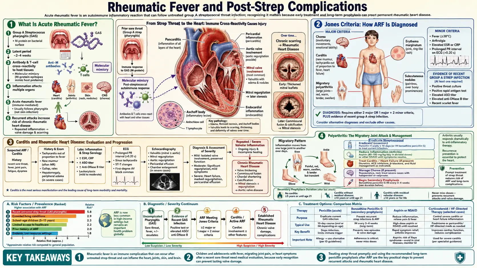 Rheumatic Fever Complications — scientific infographic poster