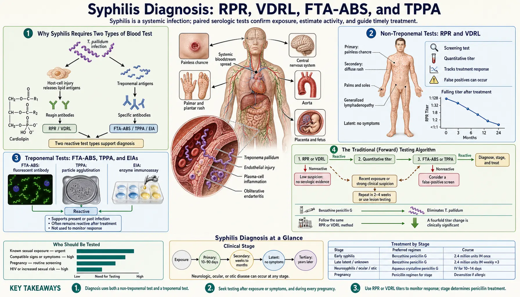 Diagnosis Serologic Tests — scientific infographic poster