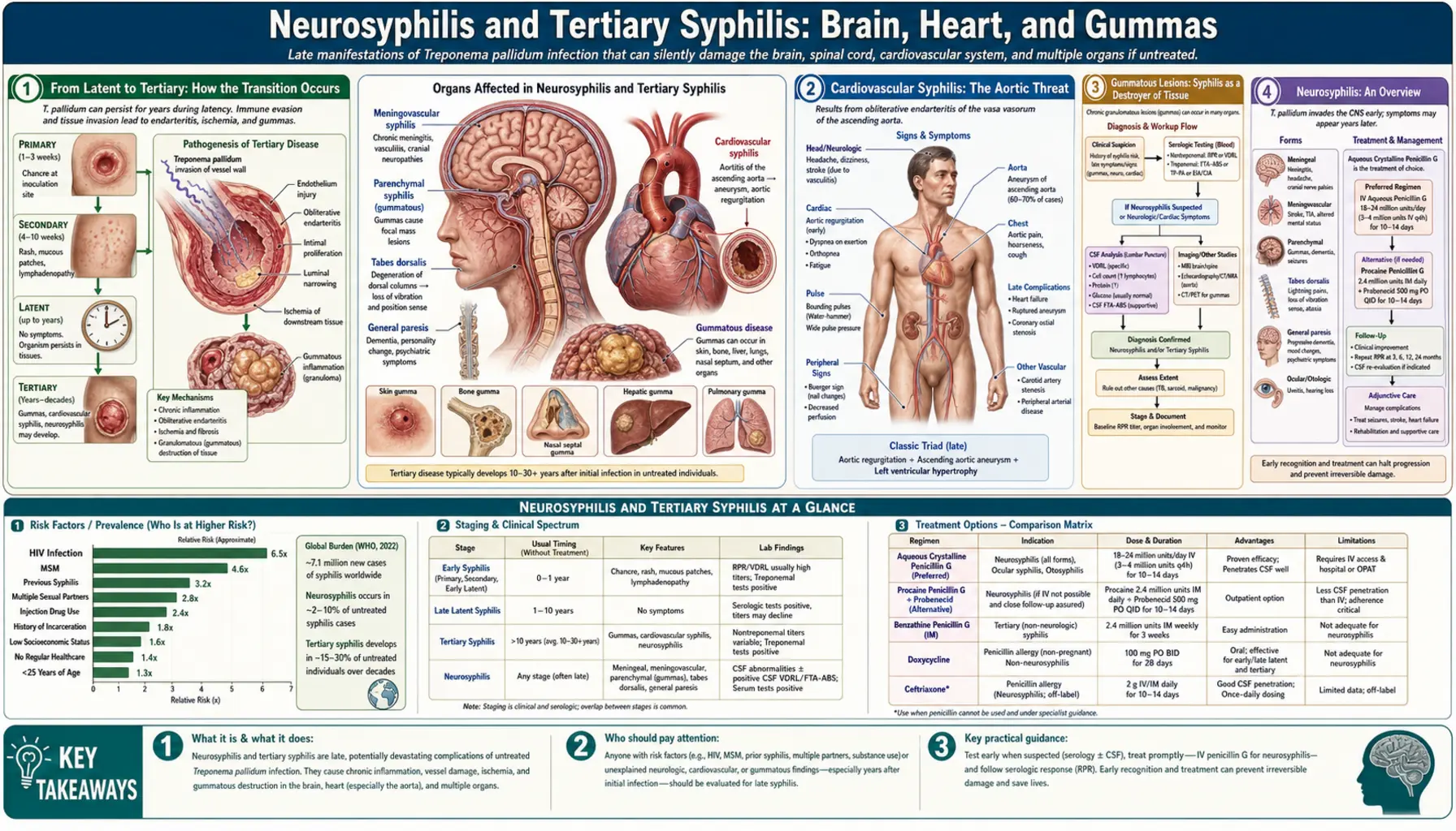 Neurosyphilis and Tertiary Syphilis — scientific infographic poster