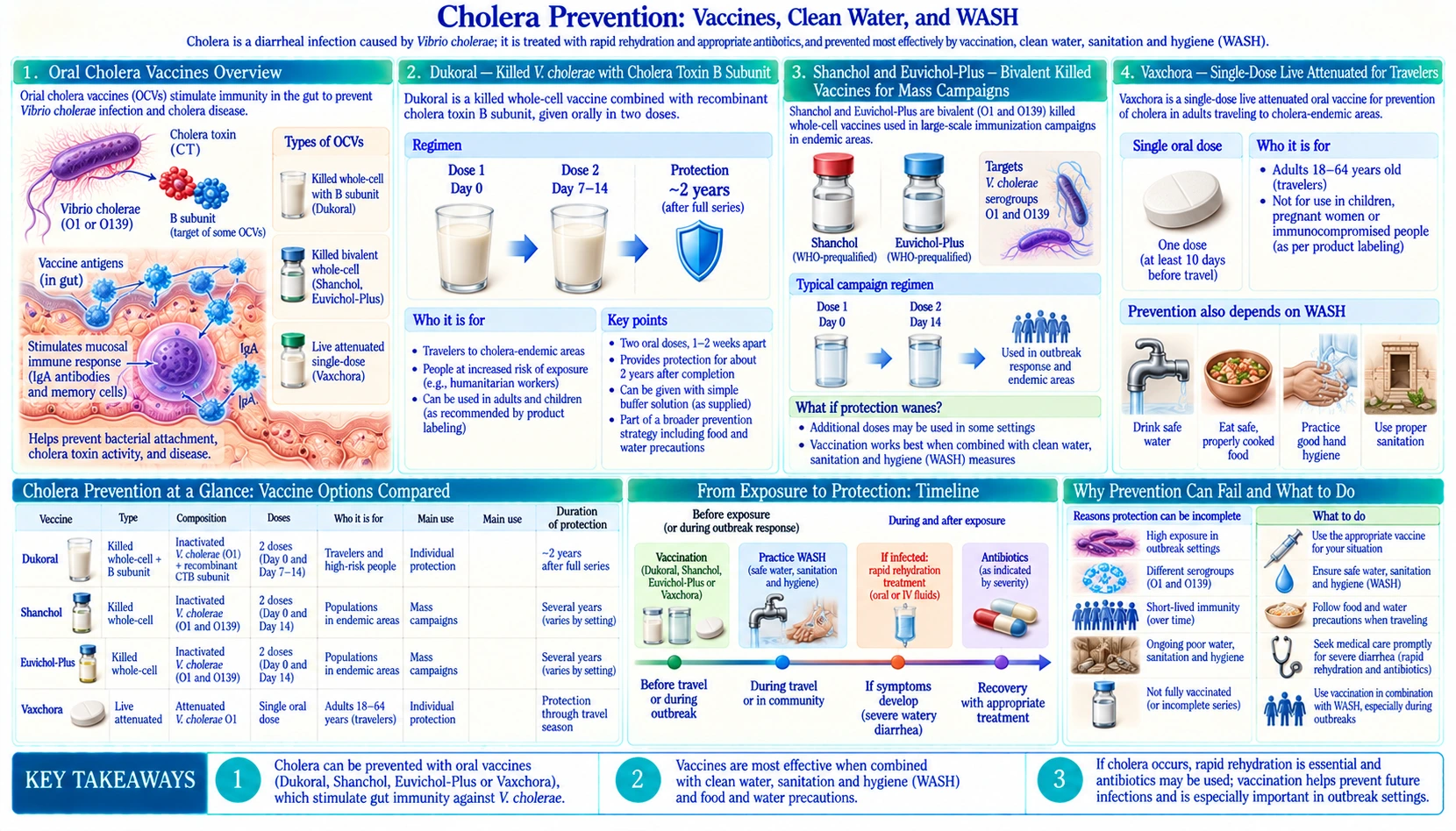 Cholera Vaccines and Prevention — scientific infographic poster