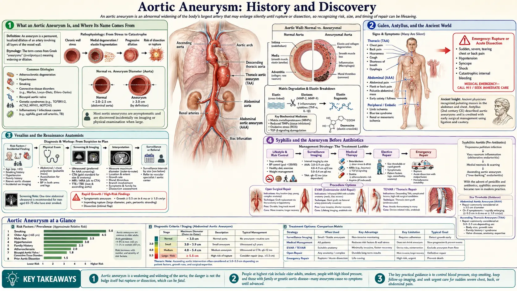 History — scientific infographic poster