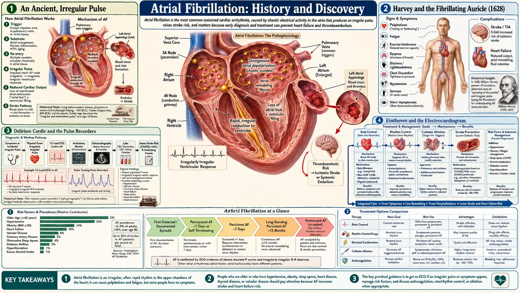 History — scientific infographic poster