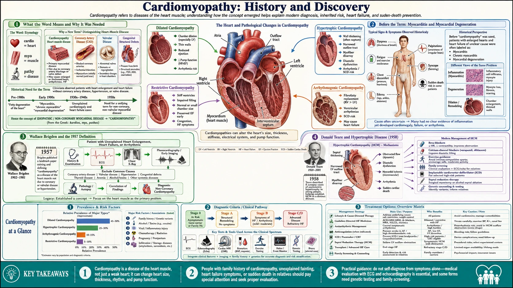 History — scientific infographic poster