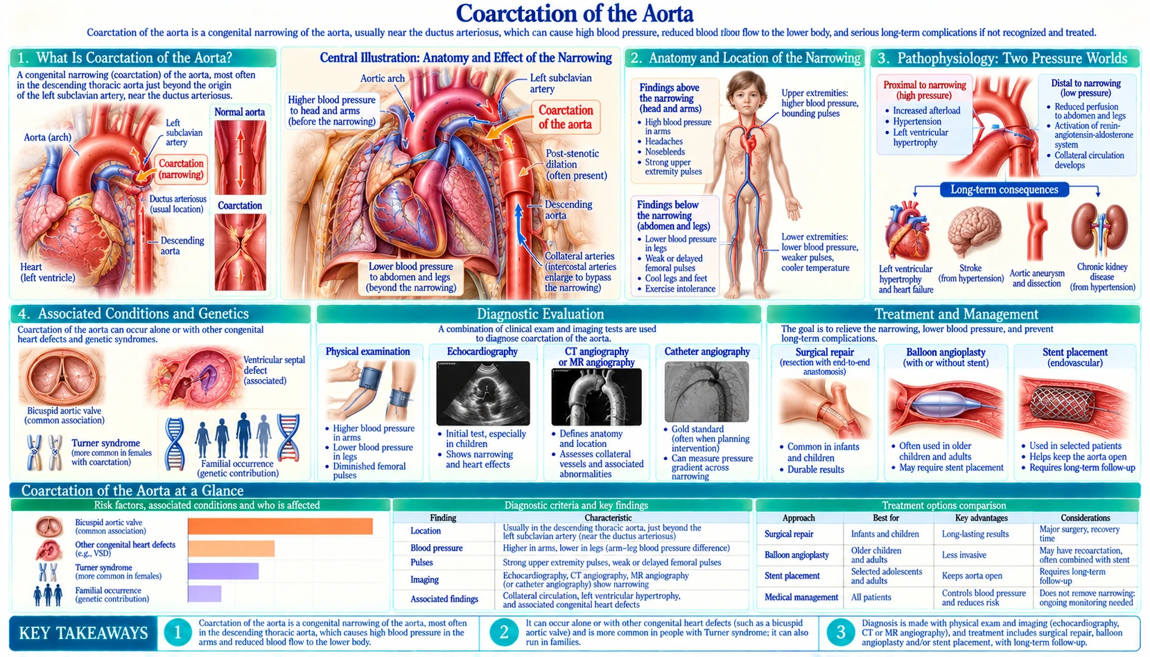 Coarctation of the Aorta — scientific infographic poster