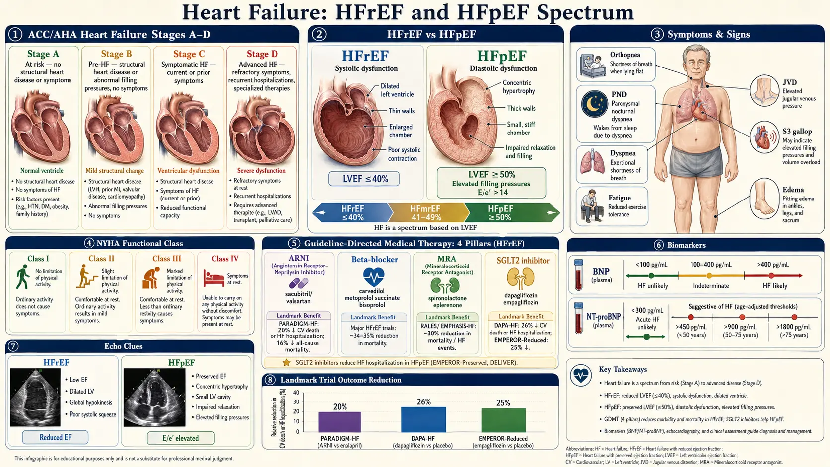 Heart Failure — scientific infographic poster