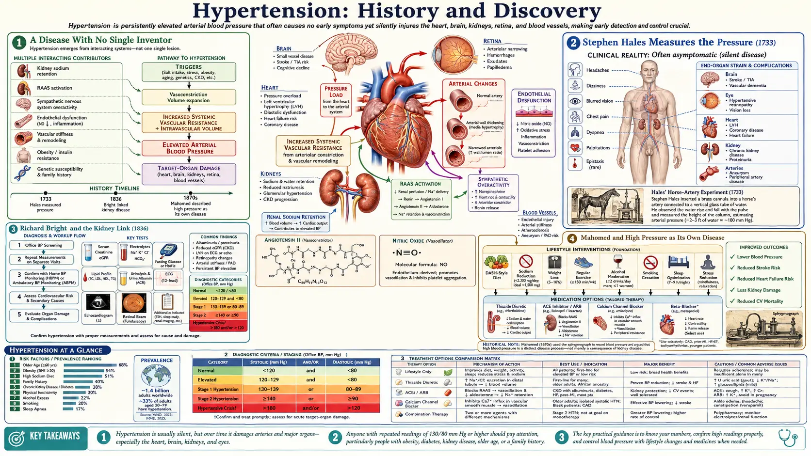 History — scientific infographic poster