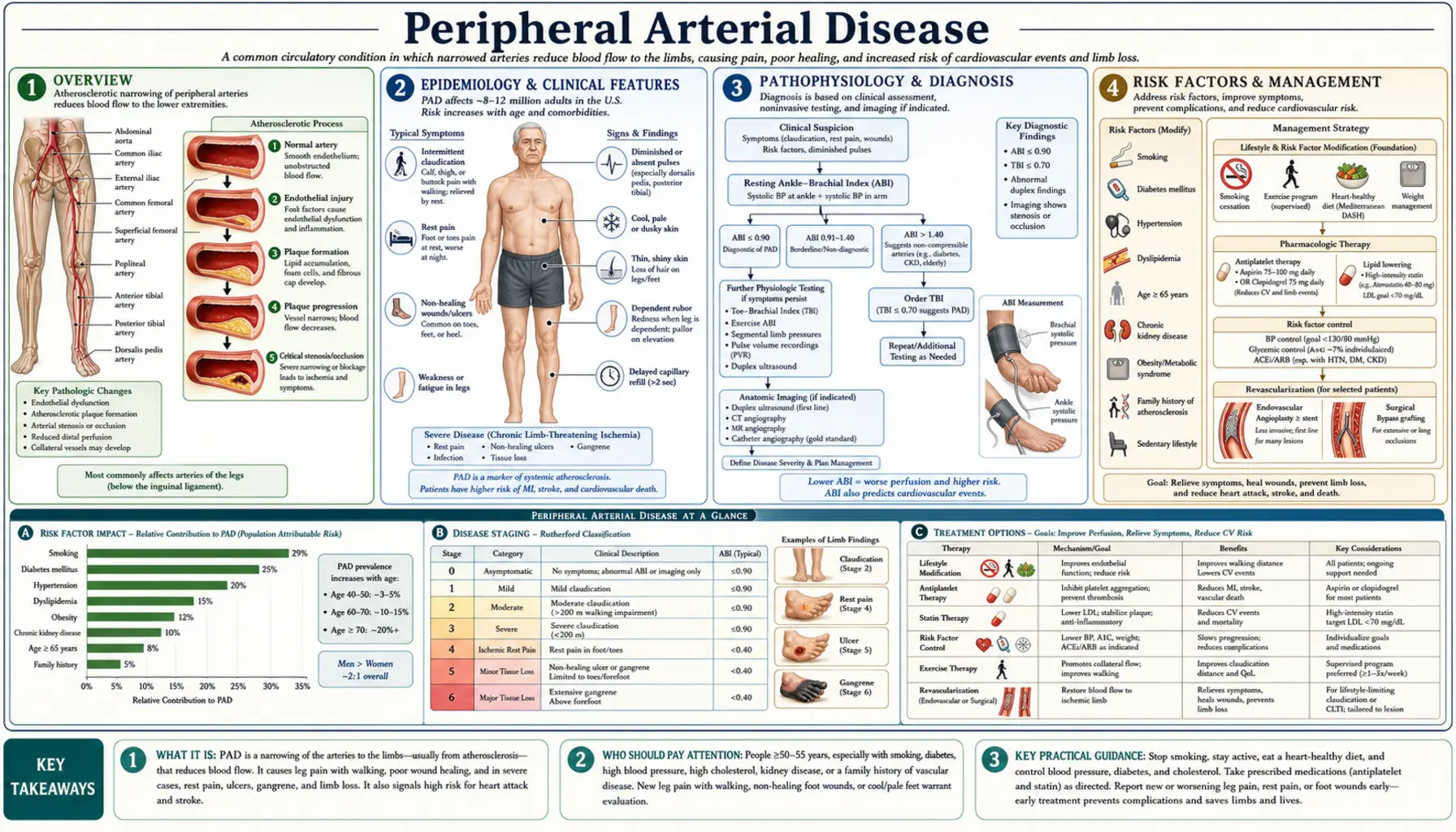 Peripheral Arterial Disease — scientific infographic poster