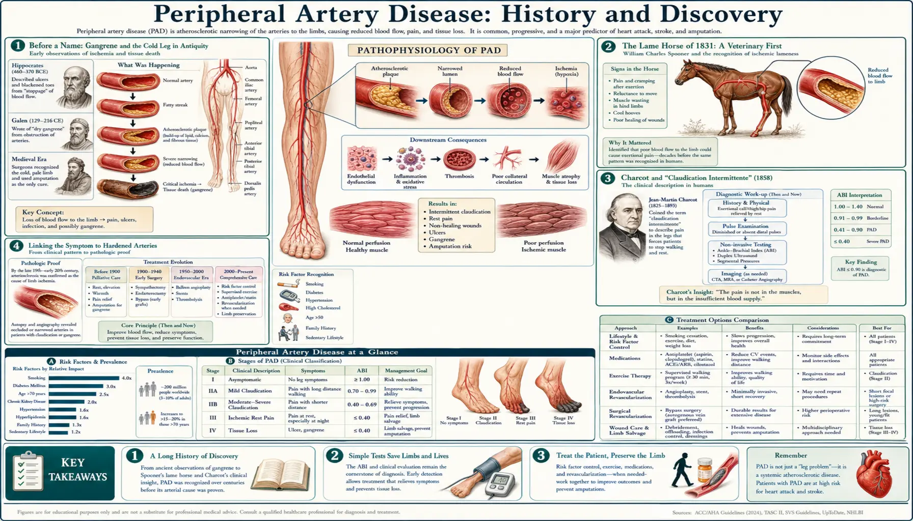 History — scientific infographic poster