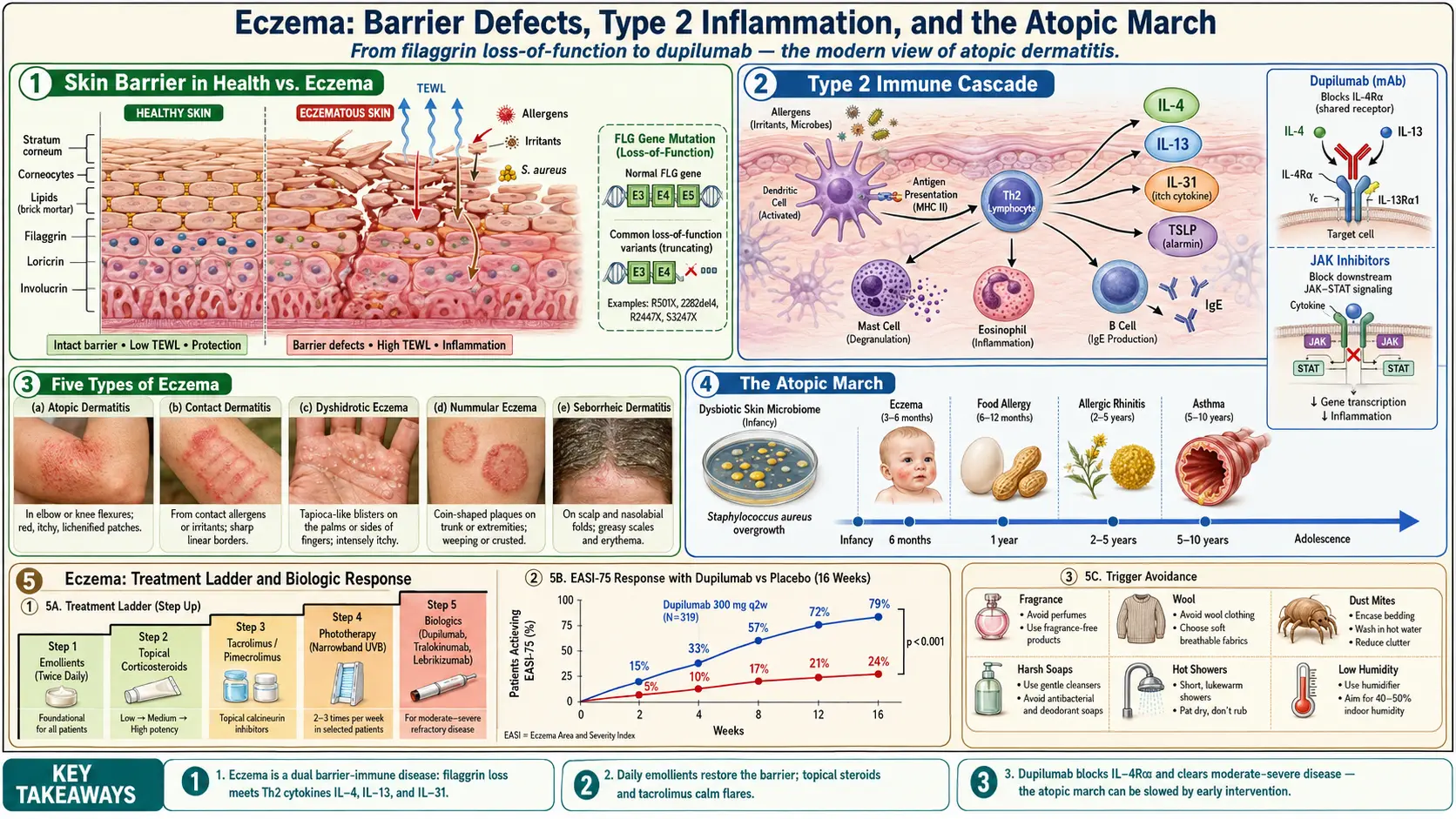 Eczema — scientific infographic poster