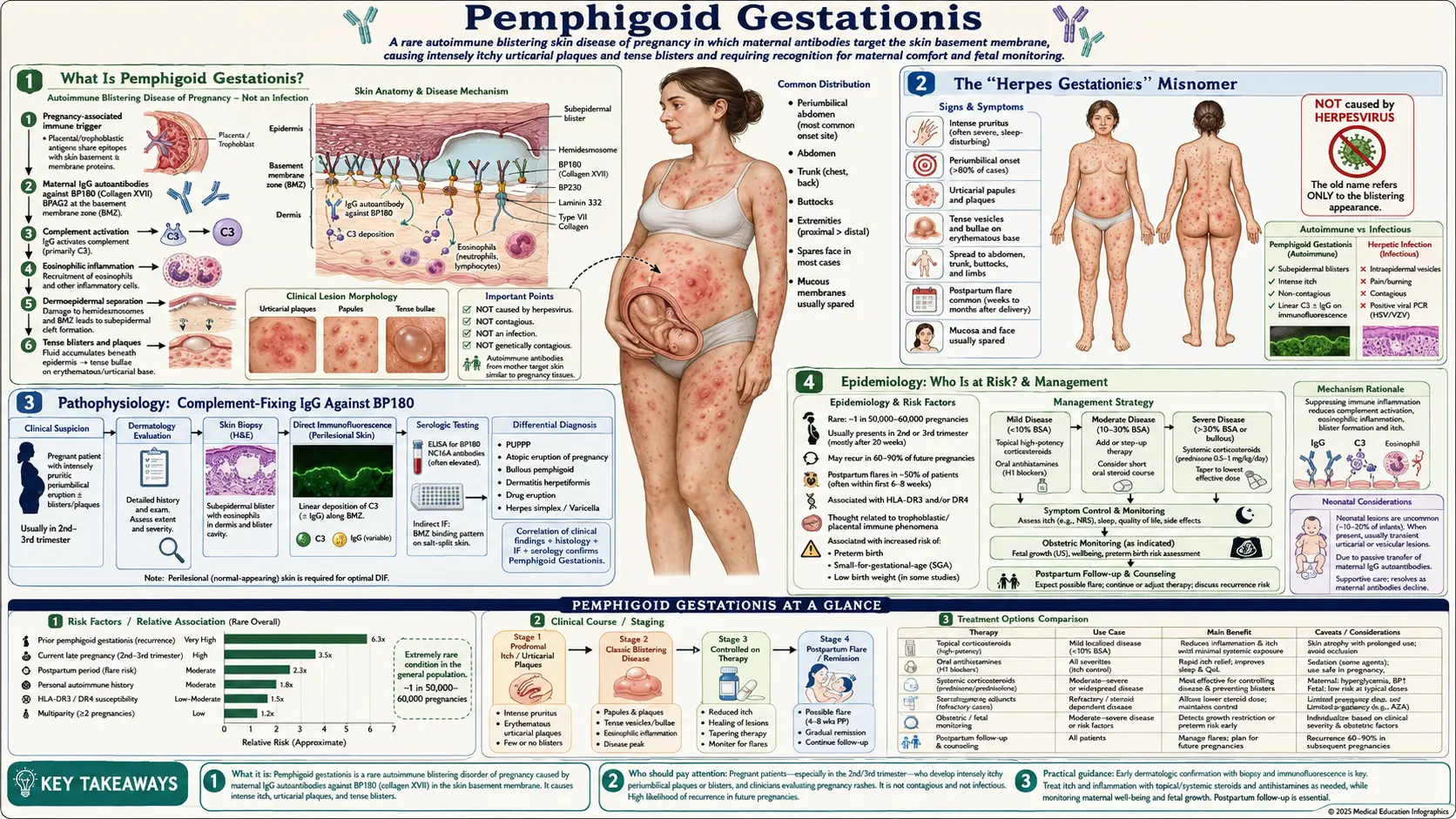 Pemphigoid Gestationis — scientific infographic poster