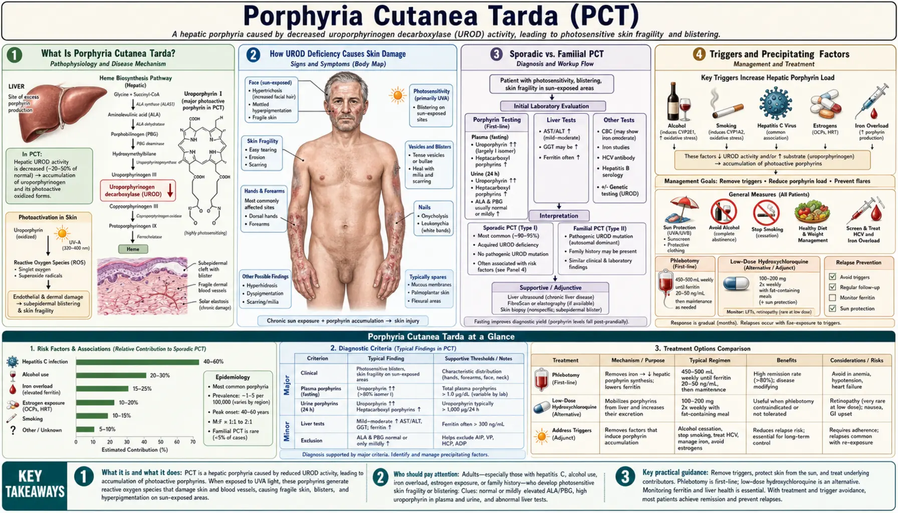 Porphyria Cutanea Tarda — scientific infographic poster