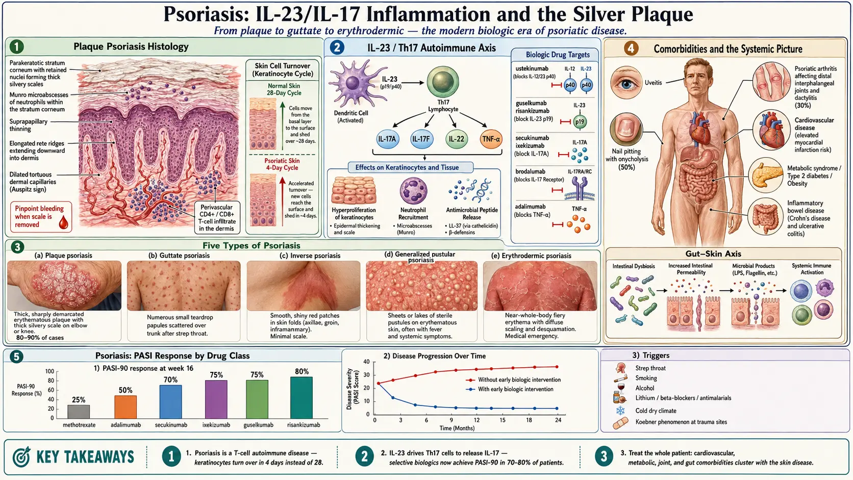 Psoriasis — scientific infographic poster