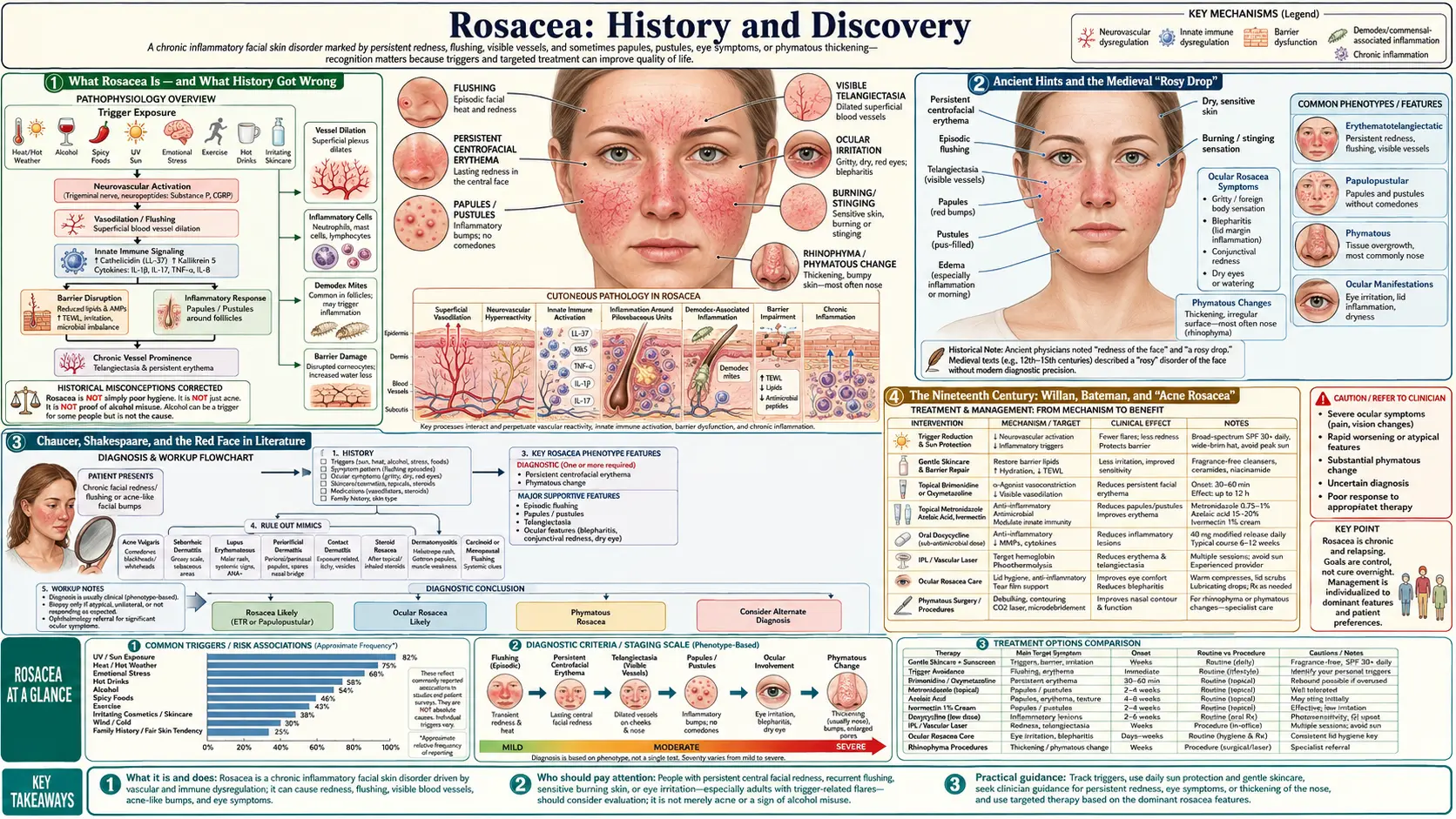 History — scientific infographic poster