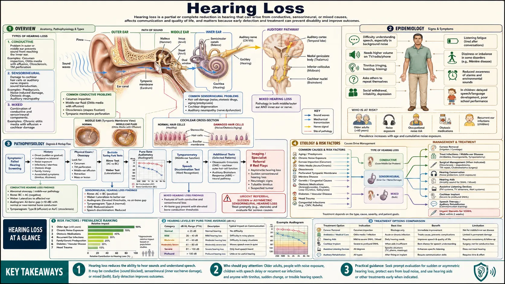 Hearing Loss — scientific infographic poster