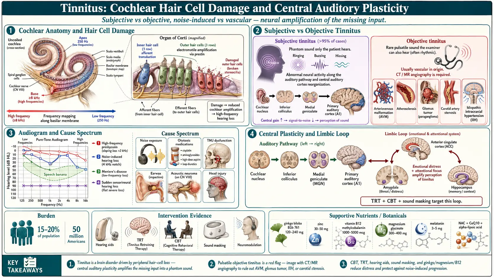 Tinnitus — scientific infographic poster
