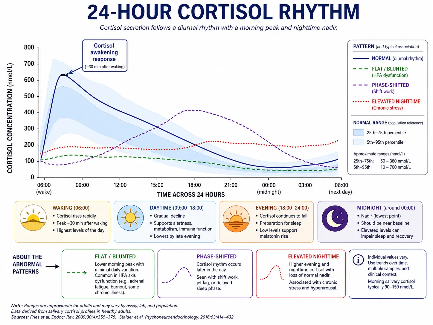 Cortisol diurnal curve: healthy CAR vs flat blunted, phase-shifted, elevated nighttime patterns