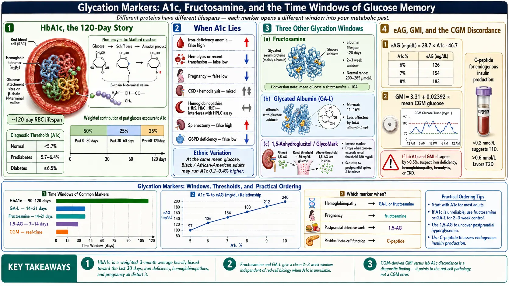 A1c, Fructosamine and Glycation Markers — scientific infographic poster