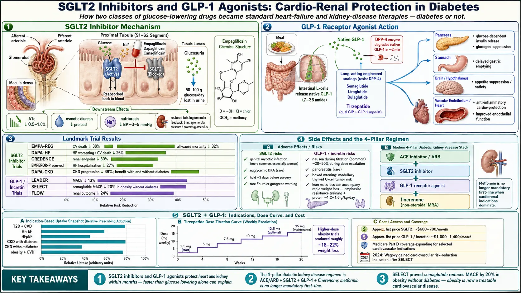 Cardio-Renal Protection SGLT2 and GLP-1 — scientific infographic poster