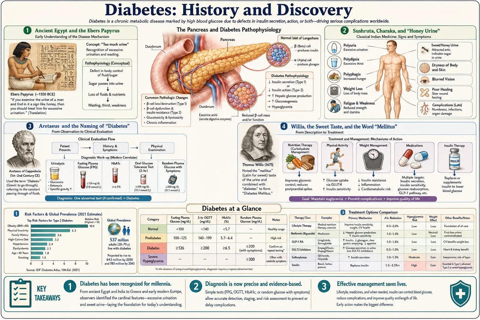 History — scientific infographic poster