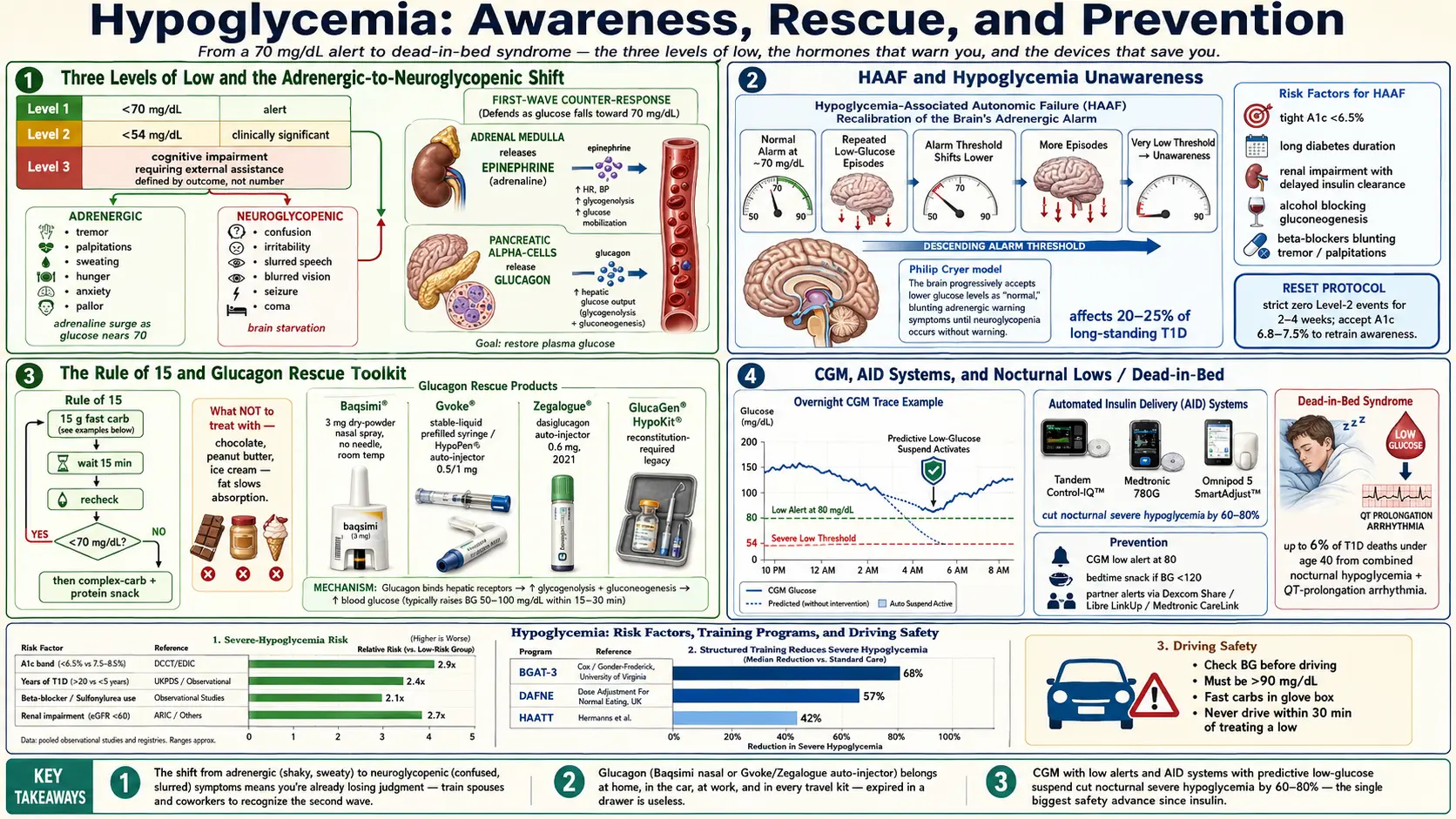 Hypoglycemia Awareness and Prevention — scientific infographic poster